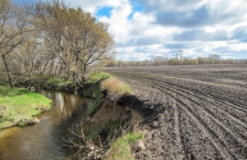 Photo showing a plowed field immediately adjacent to a stream, with part of the streambank collapsing.