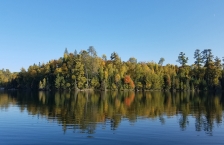 Trees reflected in a calm lake.